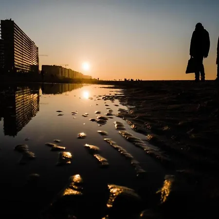 شقة On Seafront Near Casino *